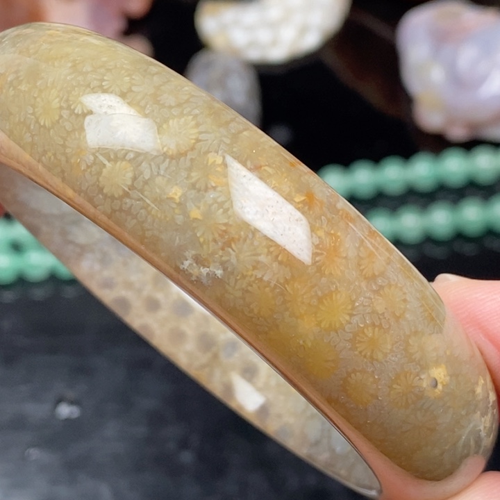 未镶嵌手镯硅化玉61