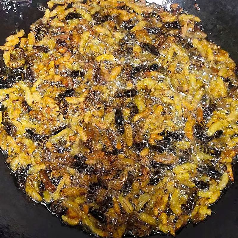 黄脚蜂树蜂1234级混合装油炸蜂蛹带内脏介意慎拍香香脆脆下酒菜