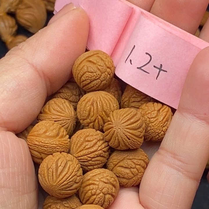 秦岭龙纹桃核20颗