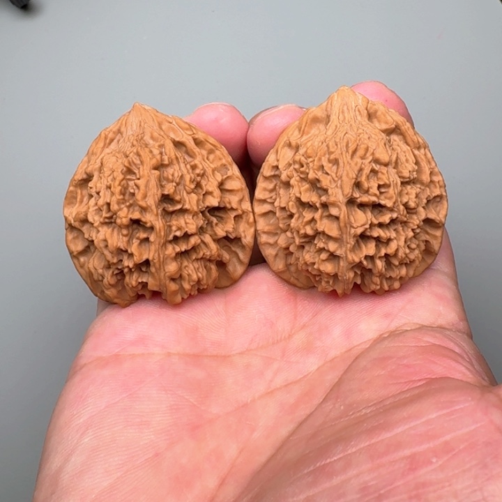 文玩核桃把件满天星44