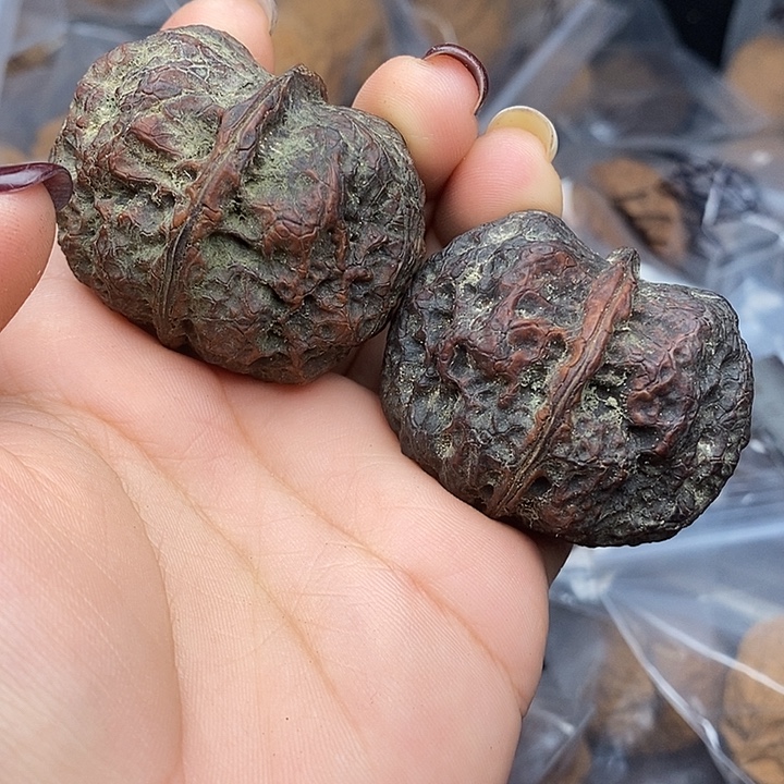 文玩核桃把件19号45mm