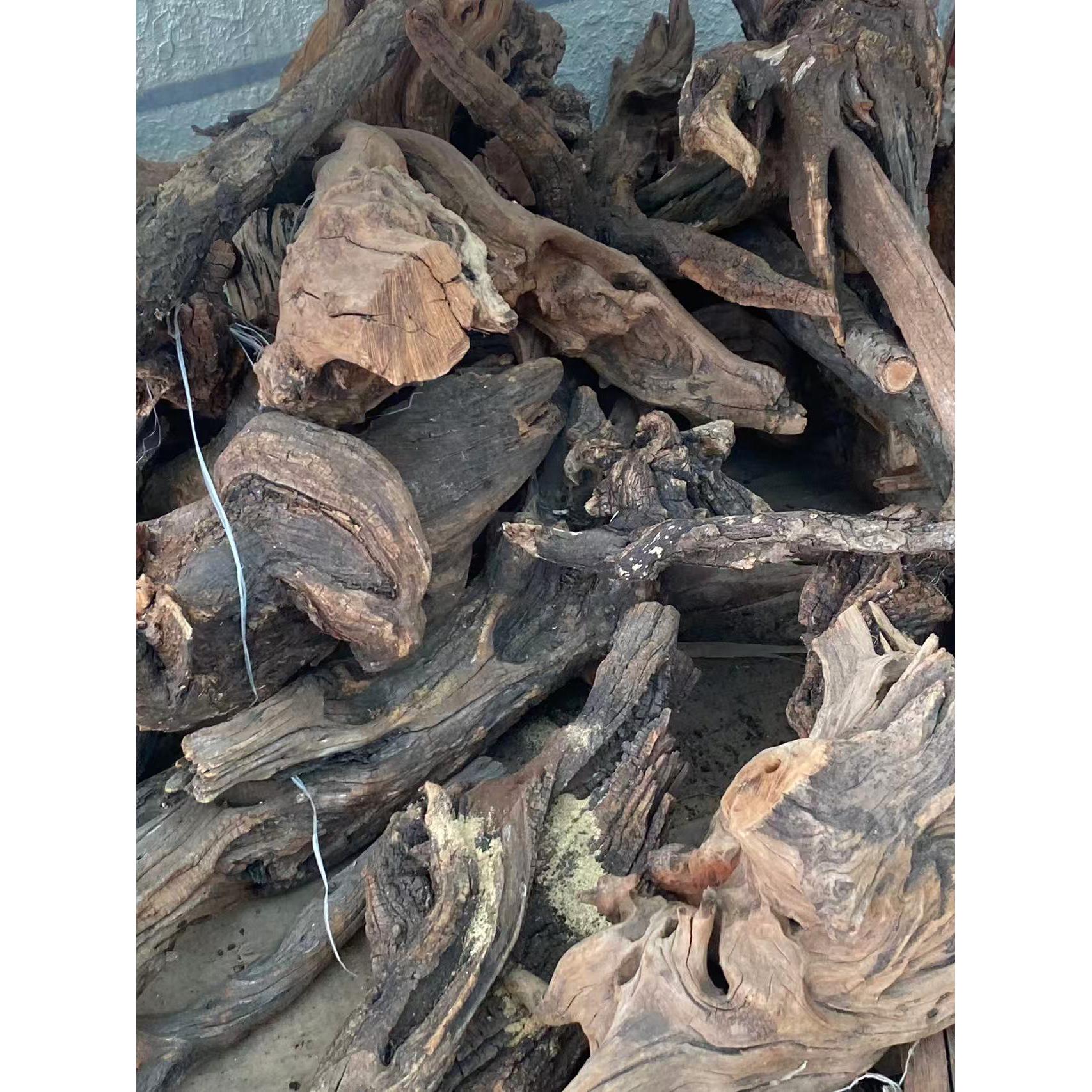 北太行崖柏毛料陈化料