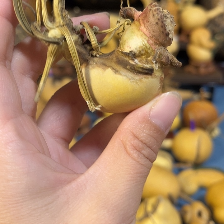 大***包大叶紫檀（黑酸枝木类）