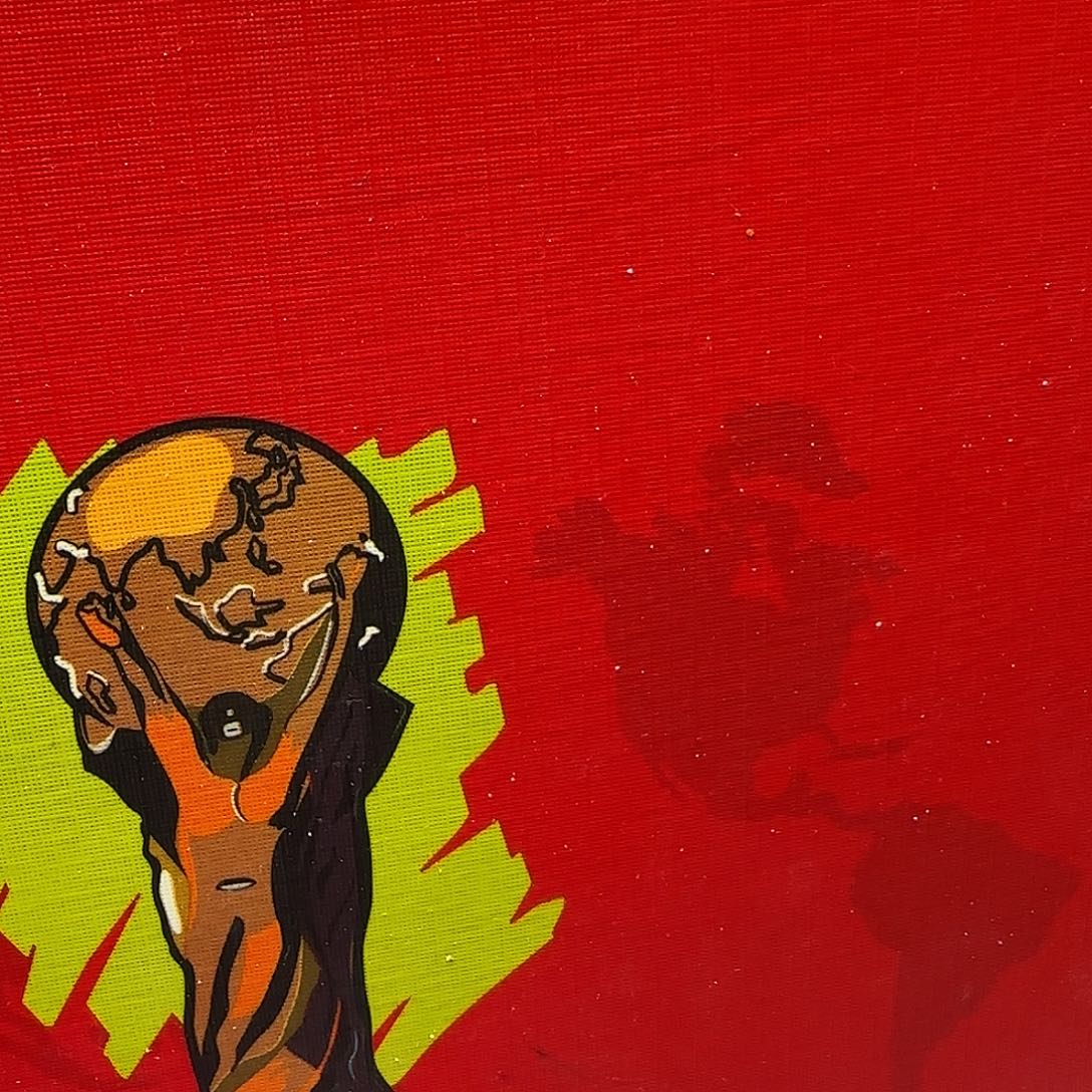 2002年世界杯册福利