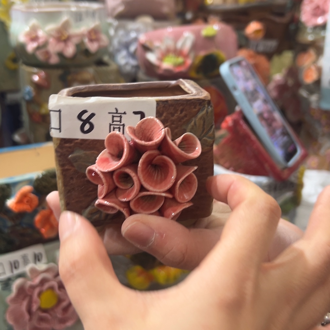 花盆，拍满20发货，退款拉黑