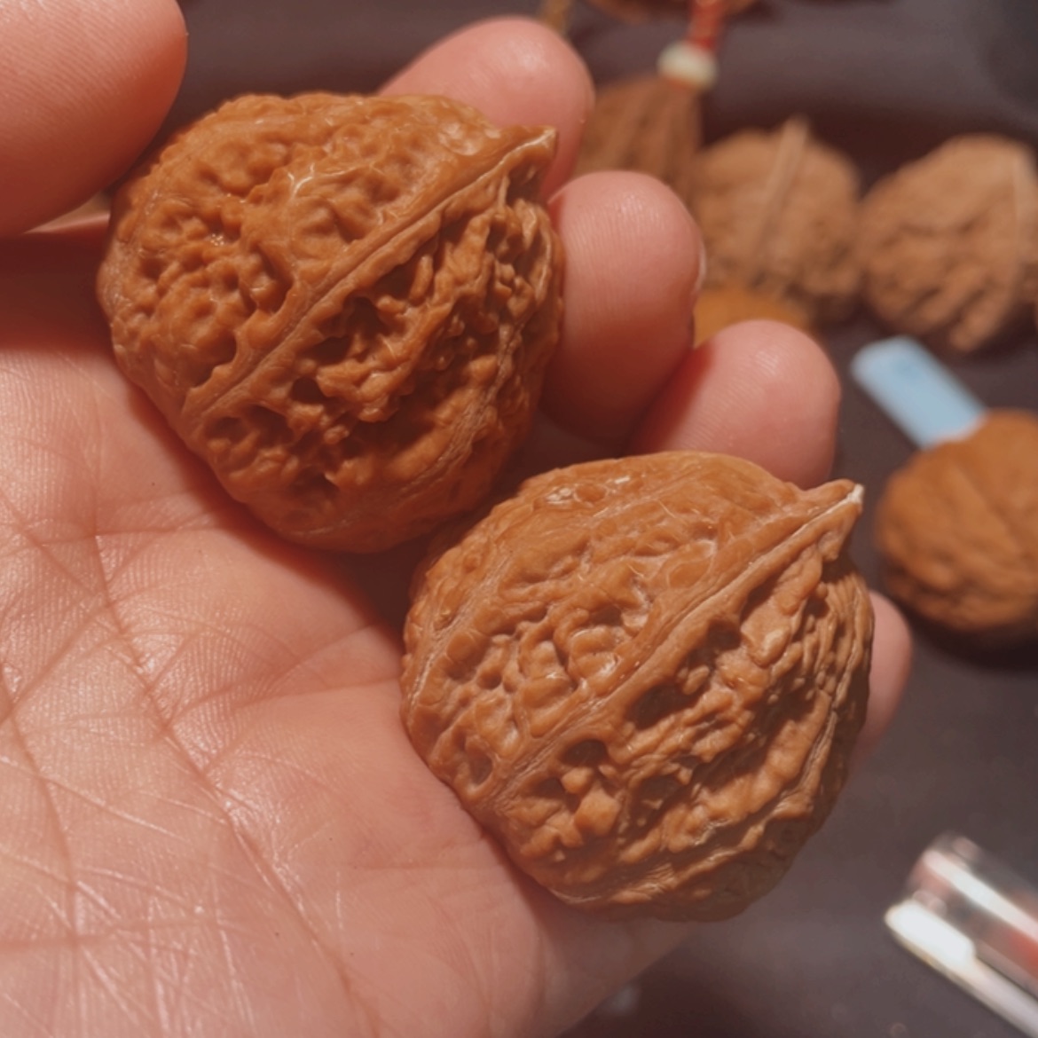 【闪购商品】文玩核桃把件东北楸子33