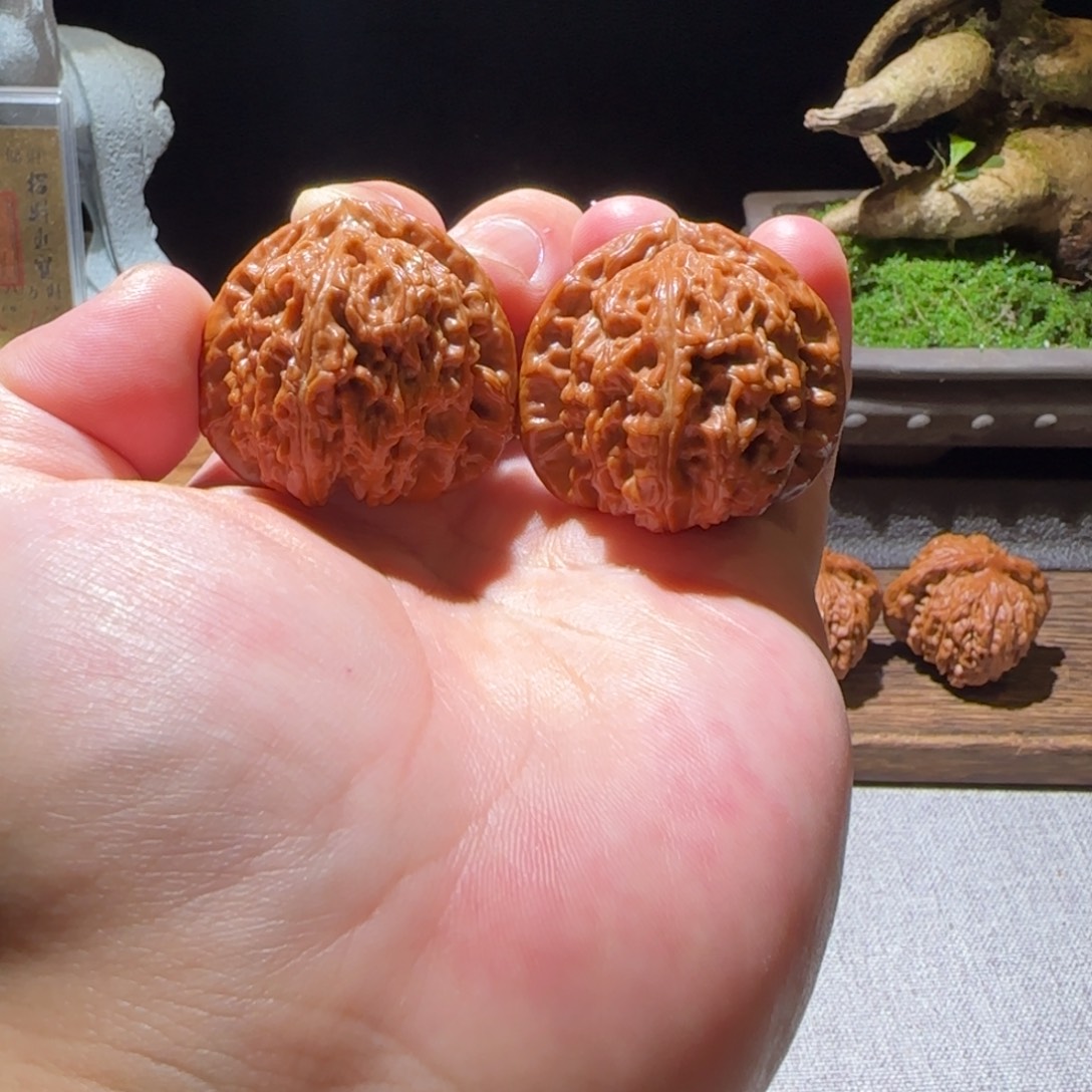 吊坠猴头核桃全品39.5山地红皮三角白