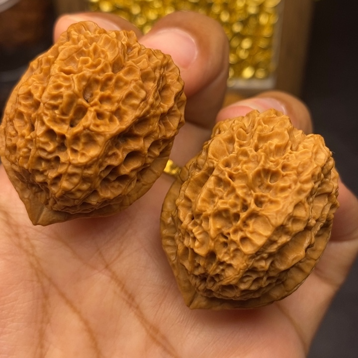 把件文玩核桃38尺荒古金蟾