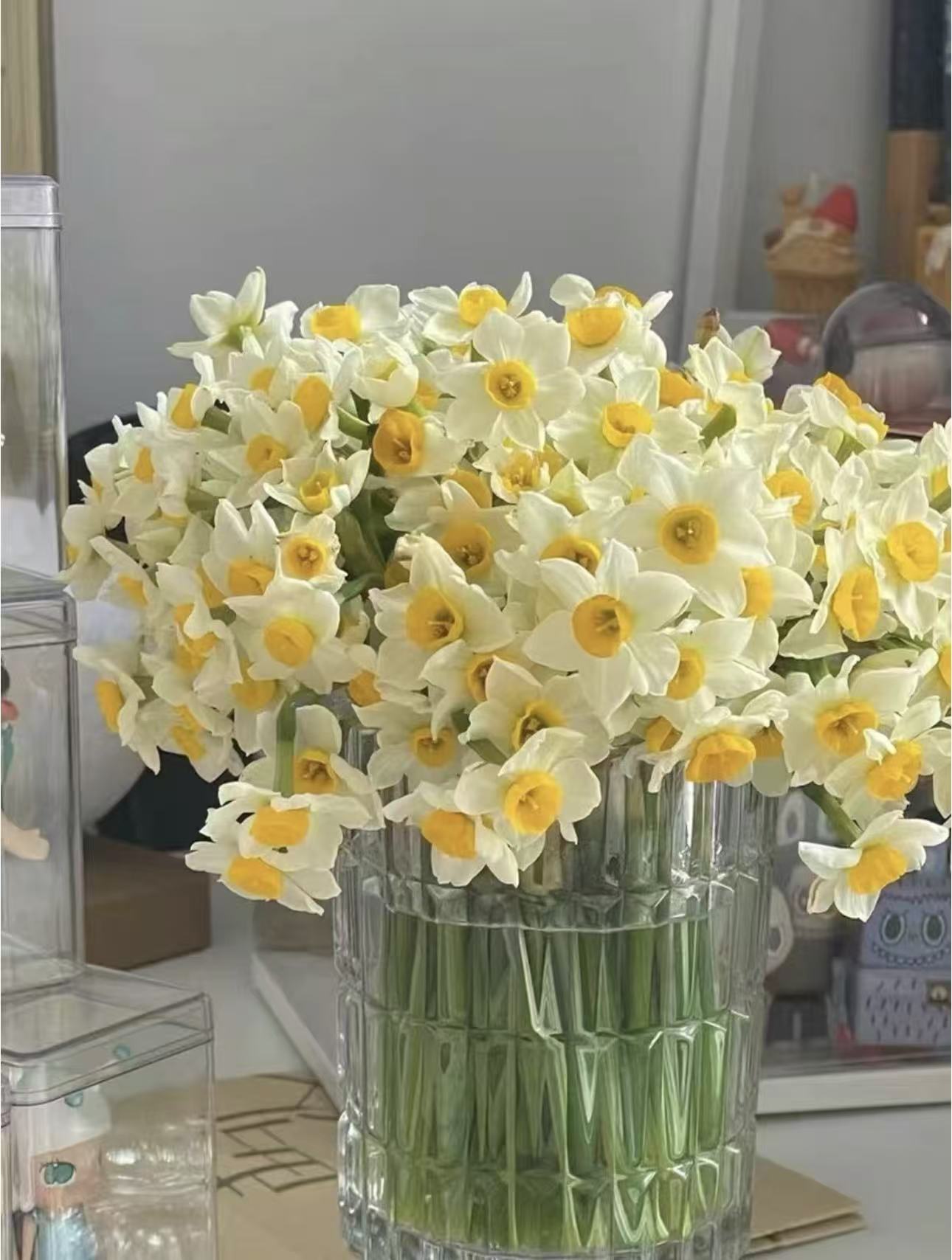  水仙花鲜切花 重瓣浓香 水养易活 家用办公插花装饰鲜花速递