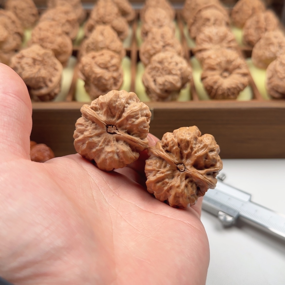 核桃把件延庆蛤蟆