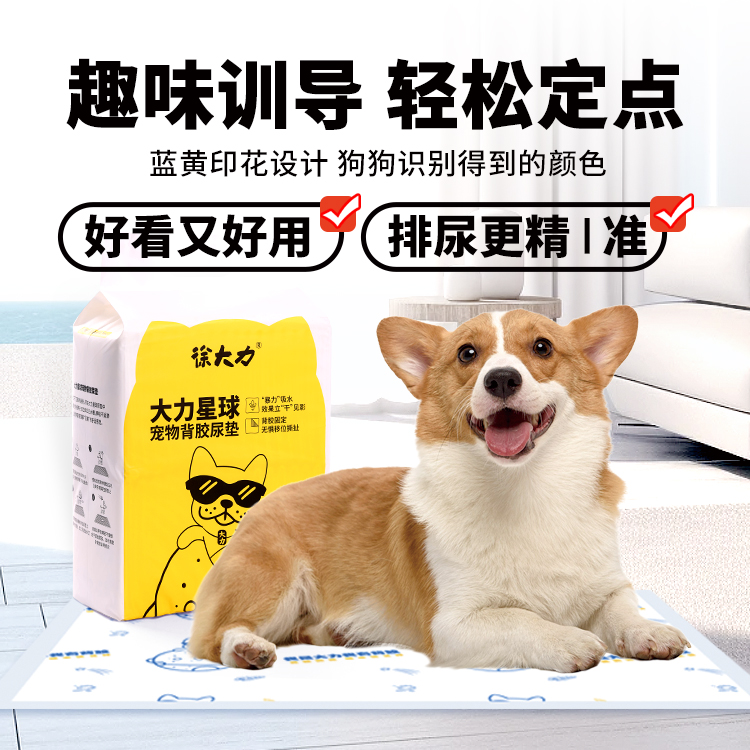 徐大力狗狗尿垫宠物隔尿垫小狗上厕所加厚除臭吸水狗尿片定点尿布