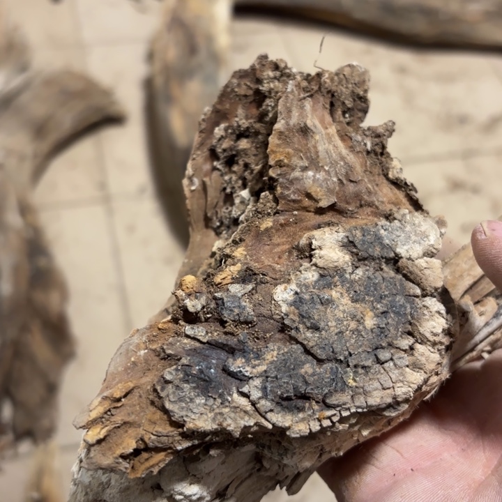 幸***纪有机玻璃太行崖柏