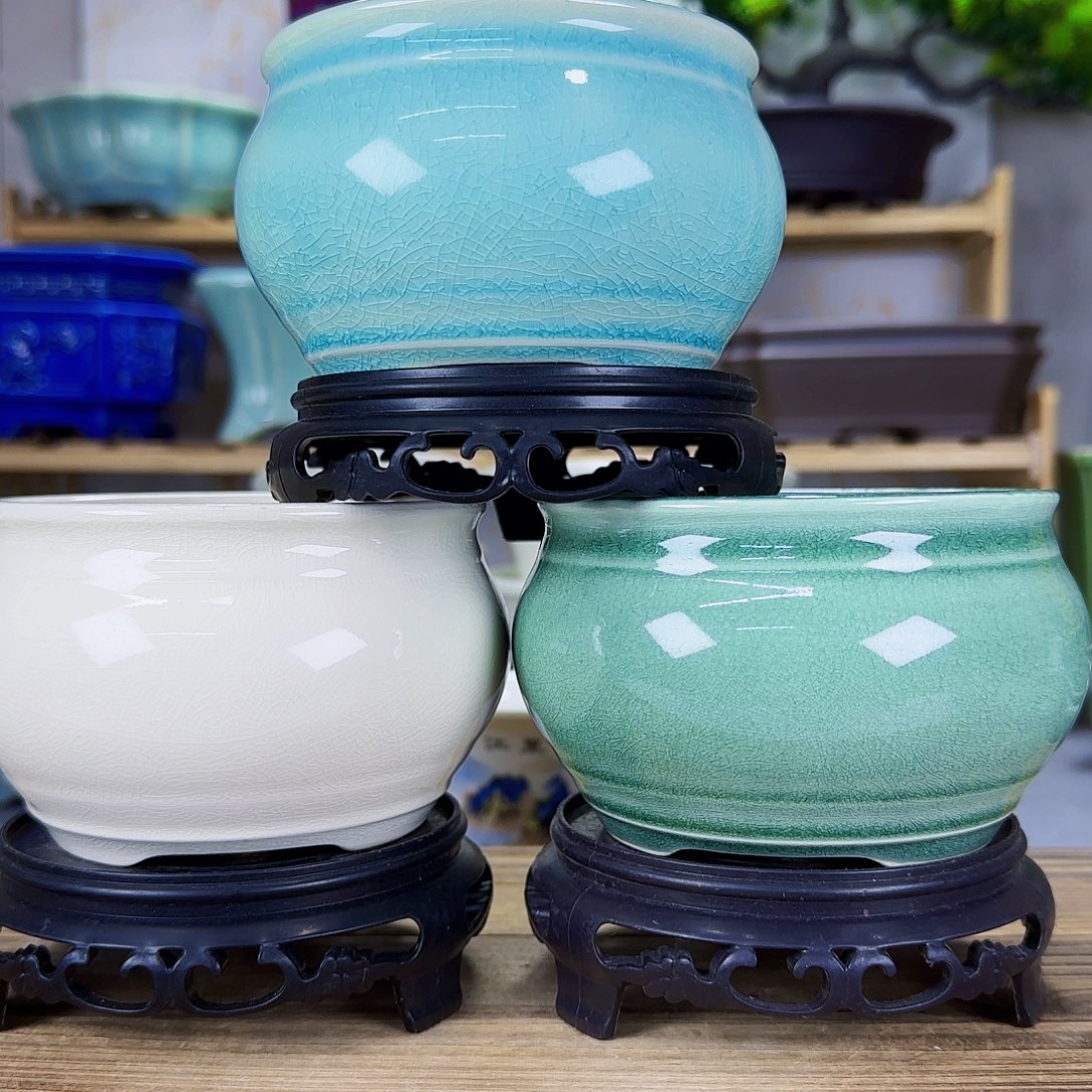 陶瓷花盆特价上新