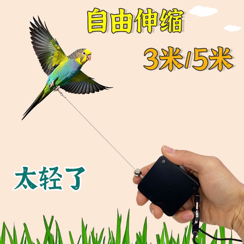鹦鹉放飞绳脚环超轻伸缩钢丝绳遛鸟神器外出飞行小鸟遛鹦鹉牵引绳