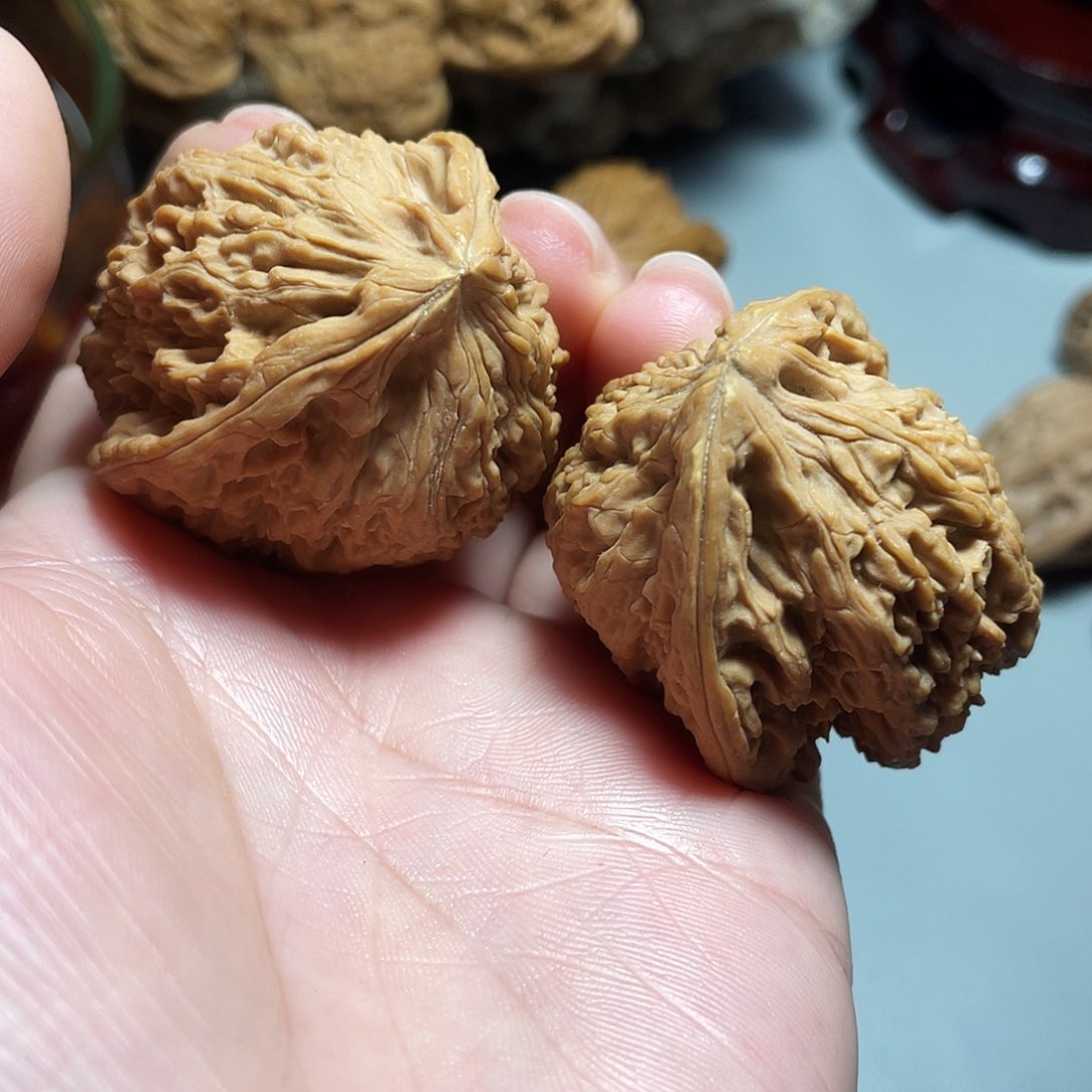 核桃手串/手链精品南疆飞蛇39