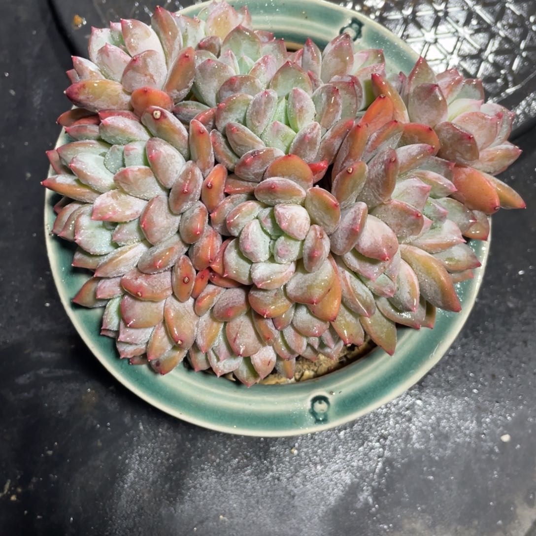 一物一拍中通快递