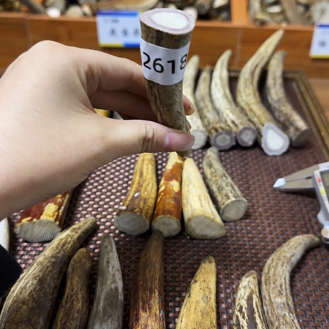 鹿骨手串/手链角尖2618