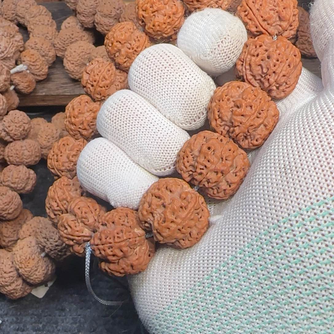 菩提金刚菩提23+深沟梅花