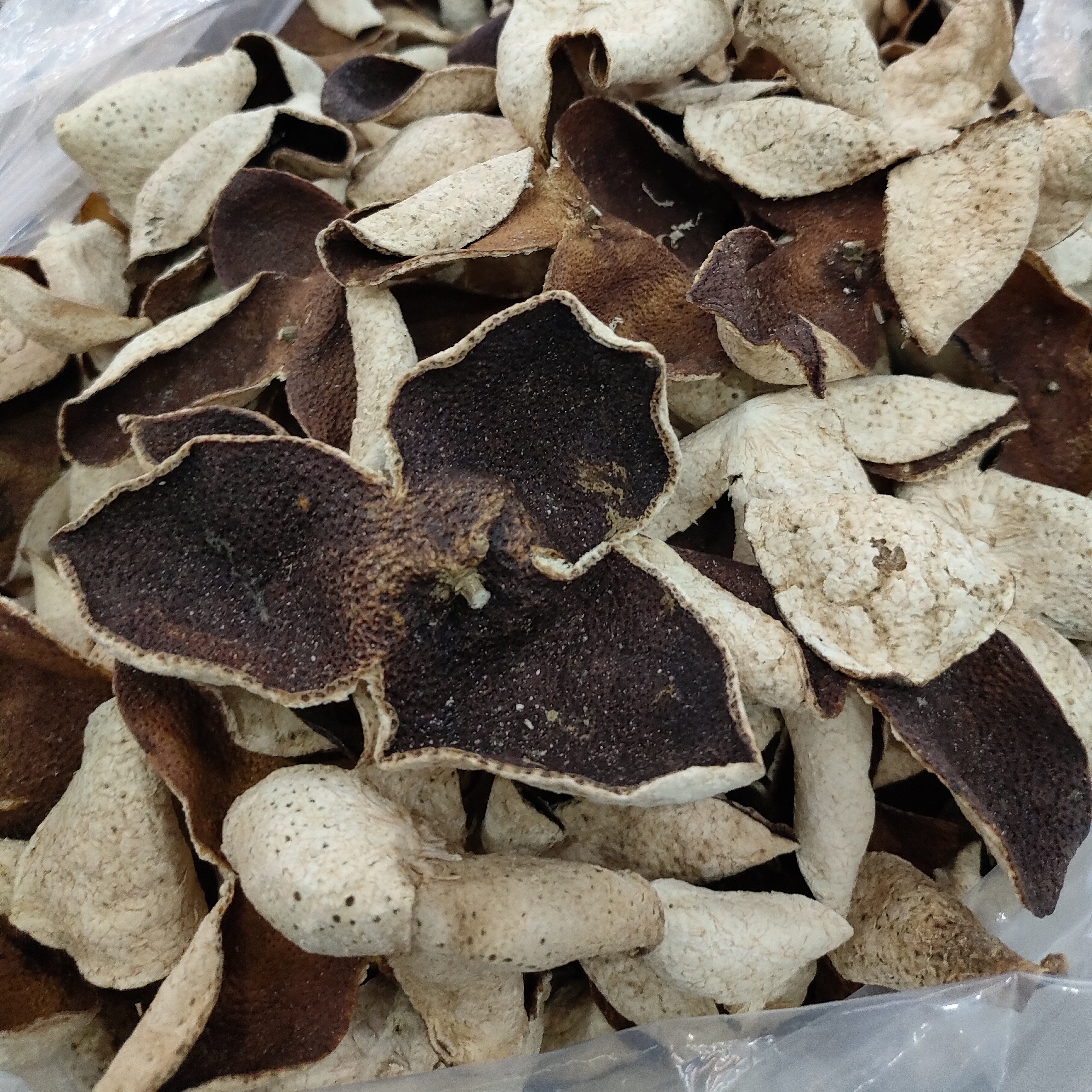 21年混皮.大红皮手工生晒陈皮