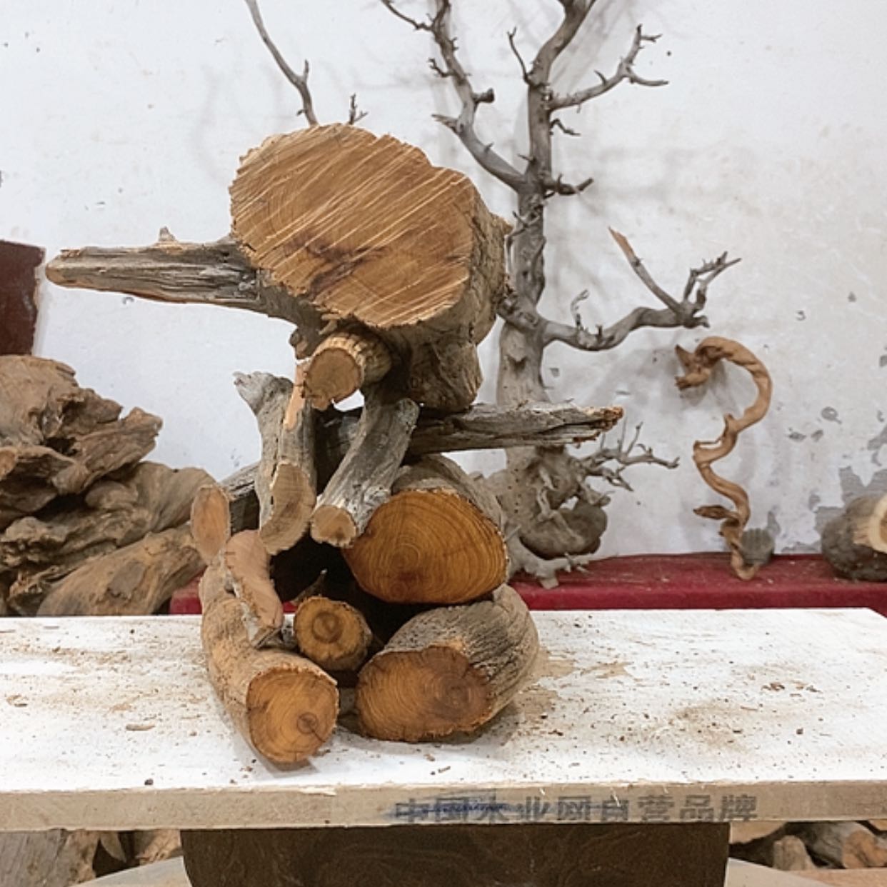 【闪购商品】柏木王*我们都是好孩子