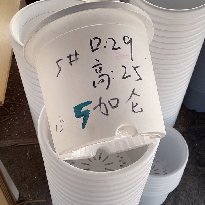 树脂长盛5号白色5个