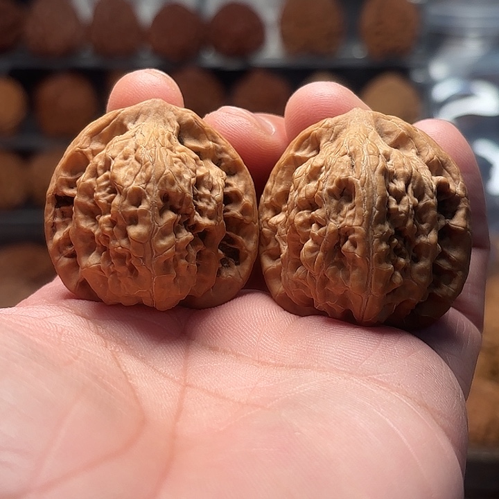 文玩核桃一代望月38-374