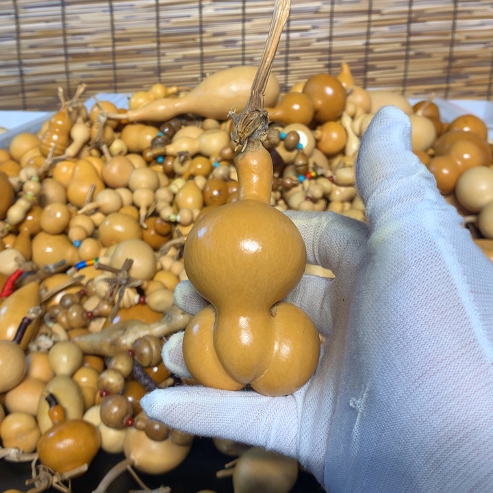 奶盖在床底下躺在了被蚊子