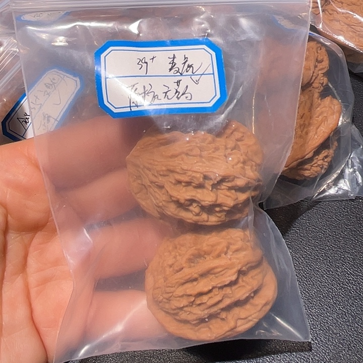 请***铭文玩核桃把件发发发发
