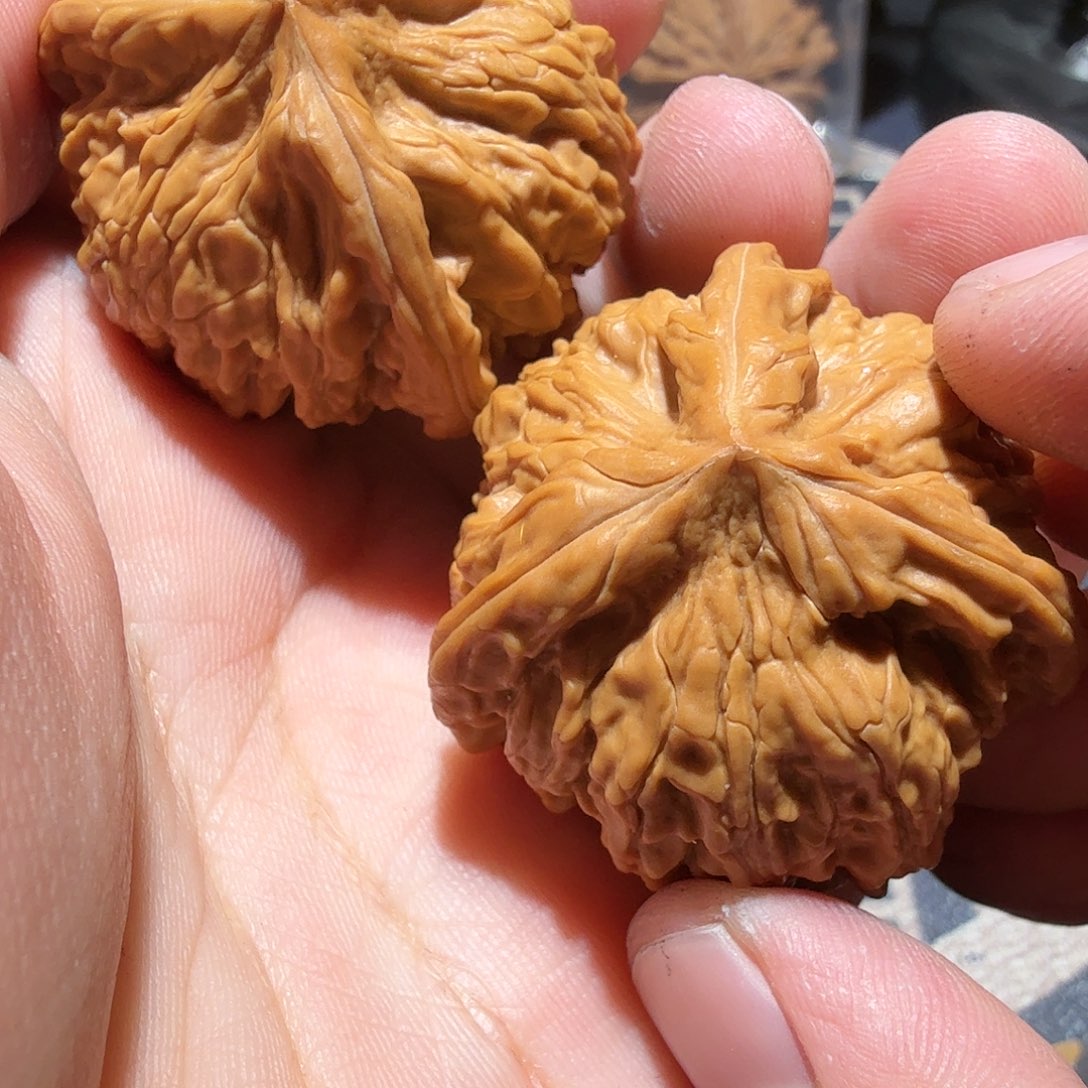 文玩核桃把件九****司御龙