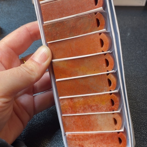 伊犁石印石10个1.5*1.5*5.0