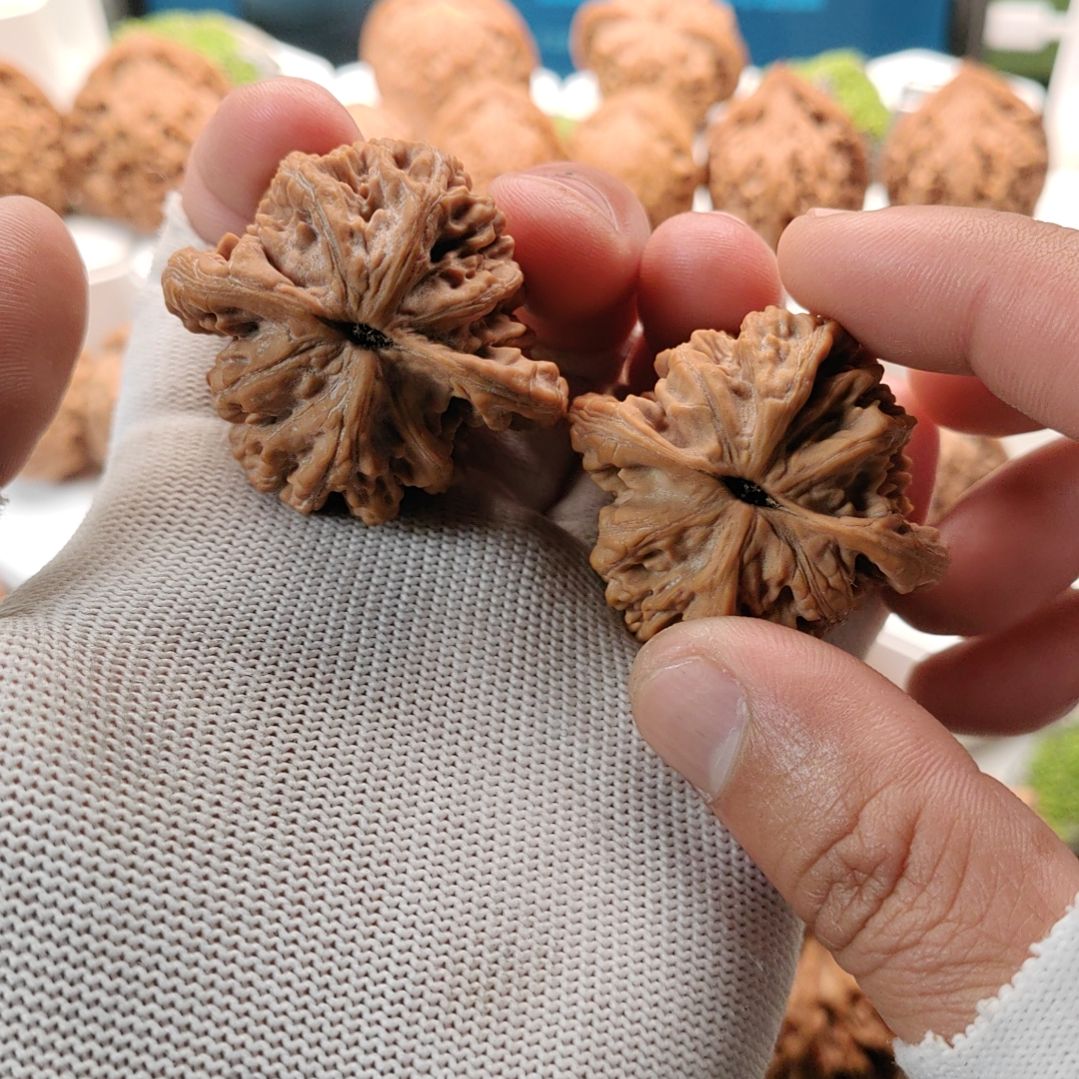 把件文玩核桃16号丨全品42+蓟县粗筋虎