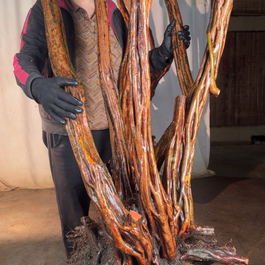 知***进777777777777777777777