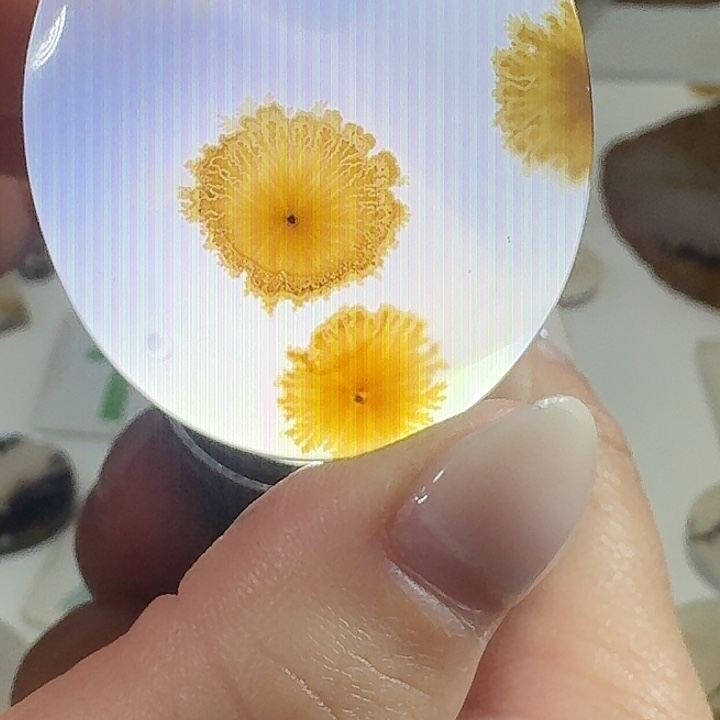 玛瑙/玉髓未镶嵌珠宝奇石