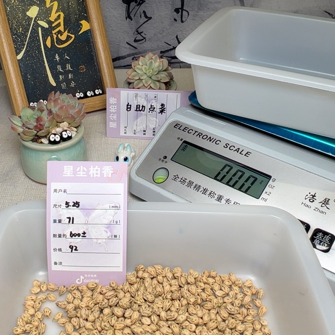 M***O柏香籽/百香籽吊坠