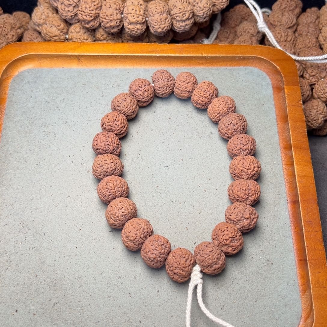 菩提33号金刚菩提蜂王菠萝蜜手持18