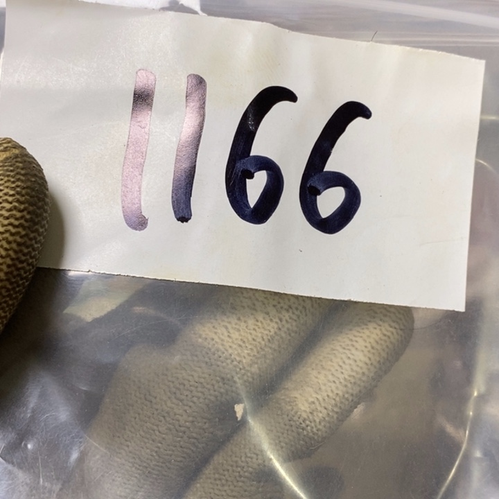 鑫***光娜娜文玩杂项专属链接