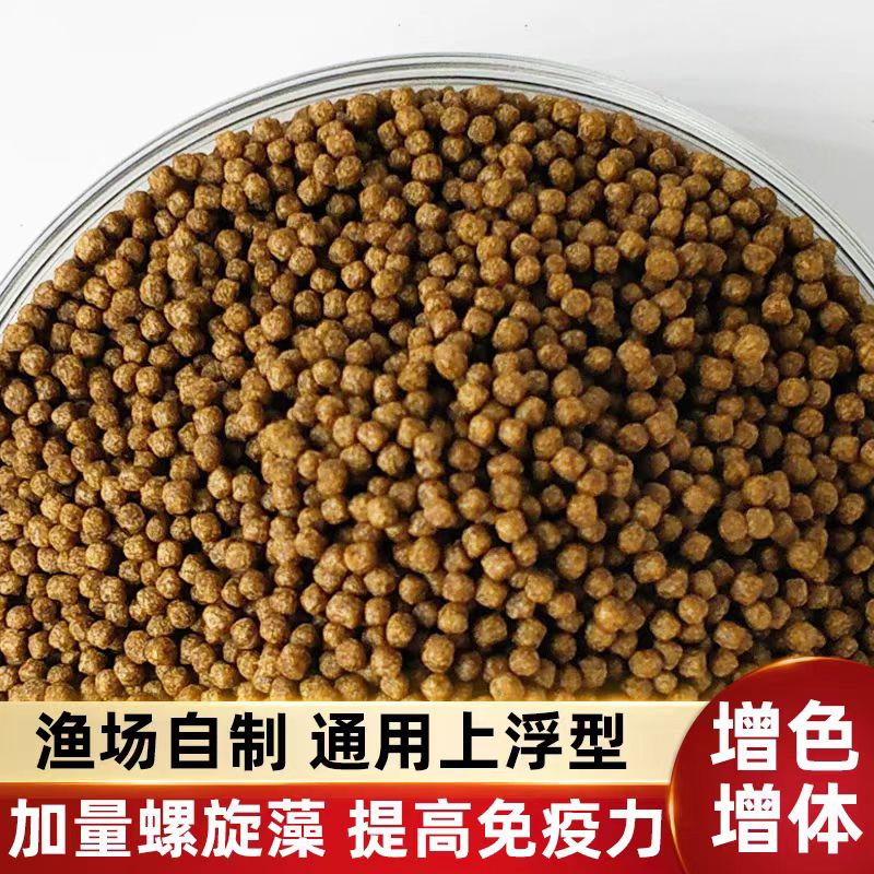 观赏鱼通用锦鲤饲料大中小颗粒增色増体高蛋白上浮水鱼粮