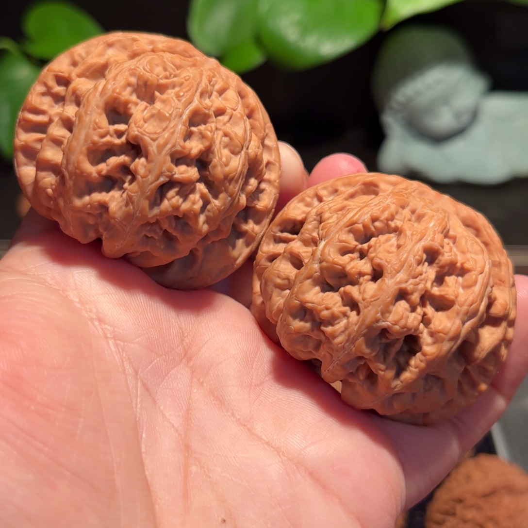 【闪购商品】文玩核桃把件苏*50大粗筋