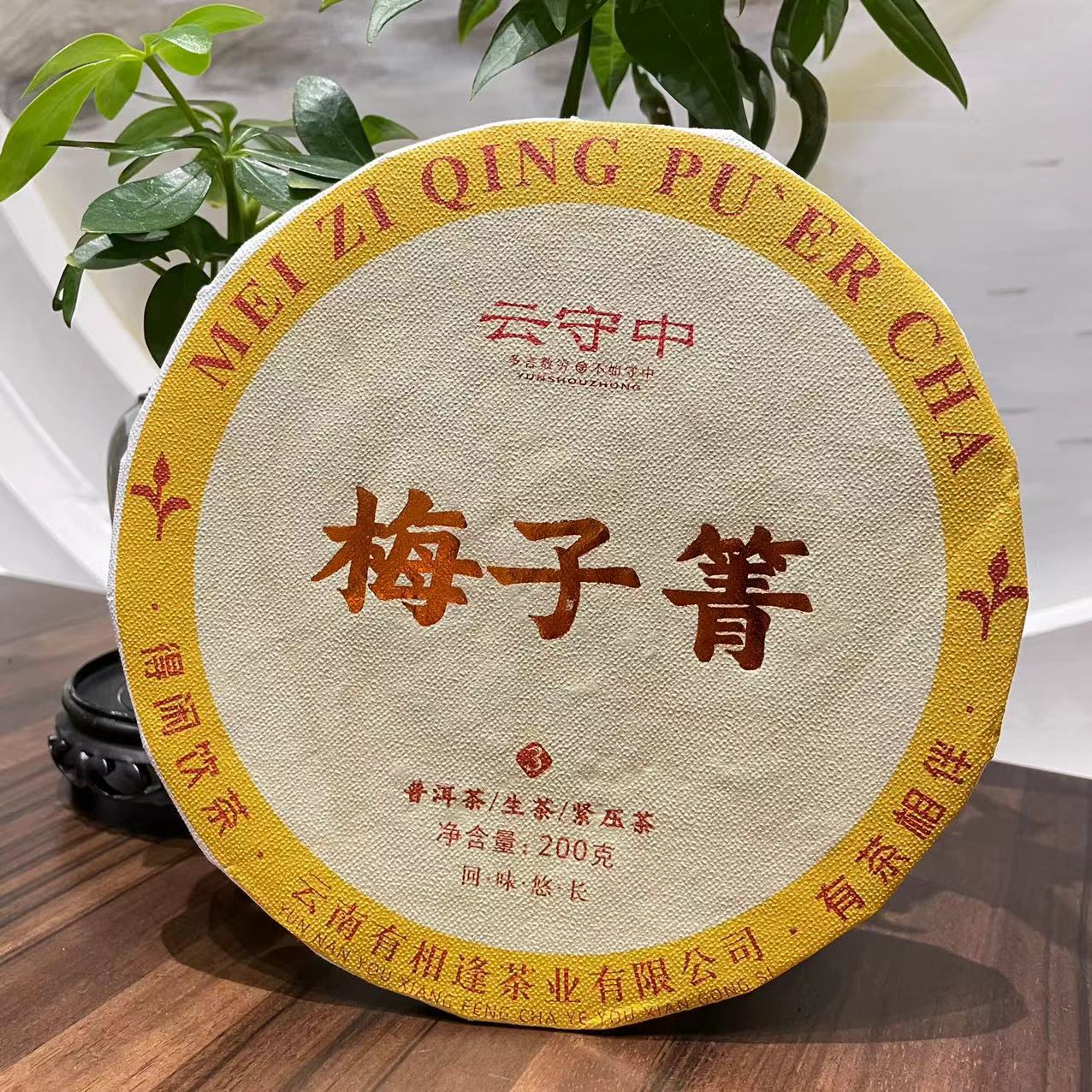 【小何好茶专属】云守中  梅子箐 普洱茶生茶200g