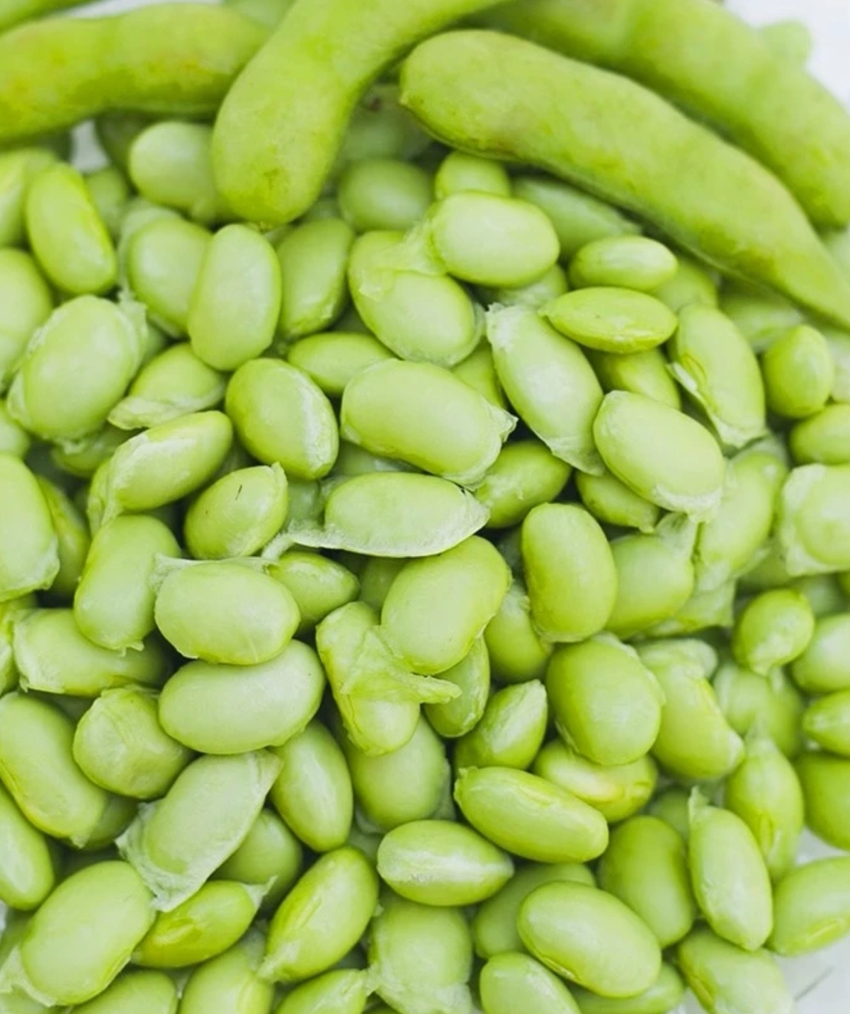 【阿猫助农】新鲜饱满带壳毛豆拍3斤发5斤现摘农家蔬菜当季嫩豆粒