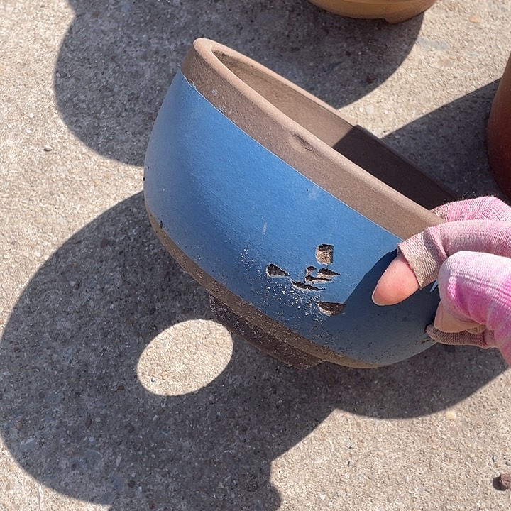 紫砂角哈哈哈哈哈哈130