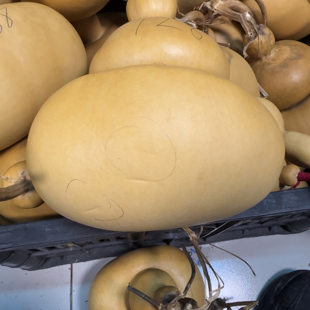 云***心直播间钱袋子一物一价