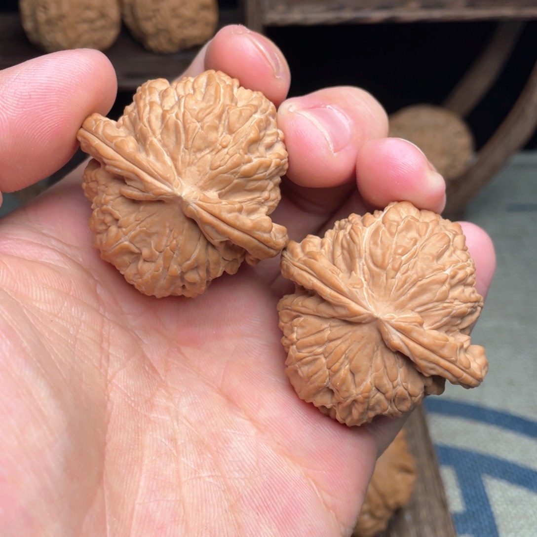 文玩核桃把件43.8毕业老树白狮子