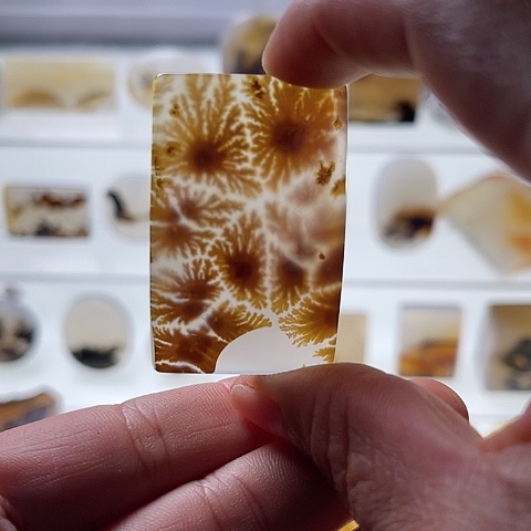 【闪购商品】玛瑙/玉髓珠宝半成品未镶嵌