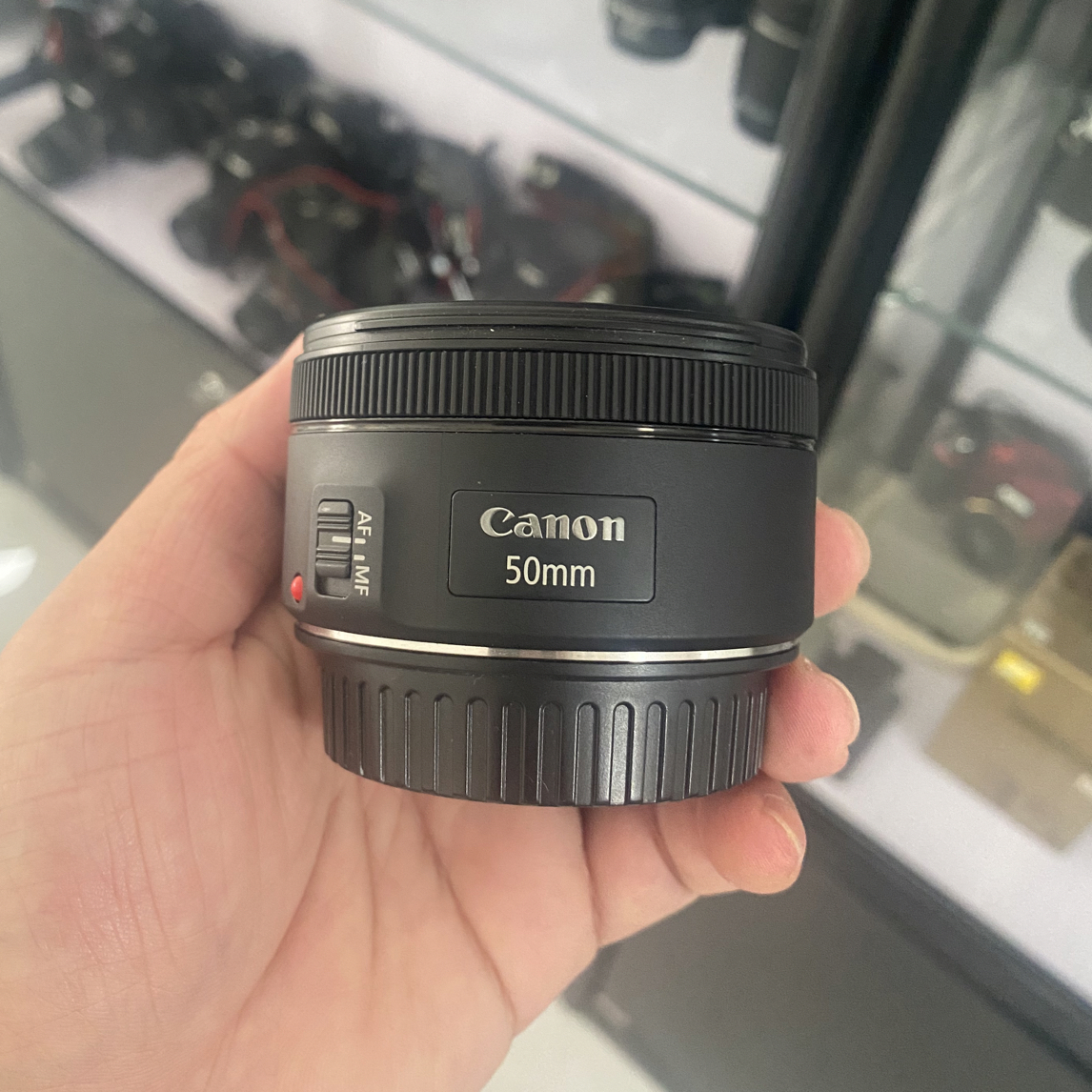 99新 佳能 佳能EF50mm F1.8STM单反定焦镜头人像大光圈虚化效果