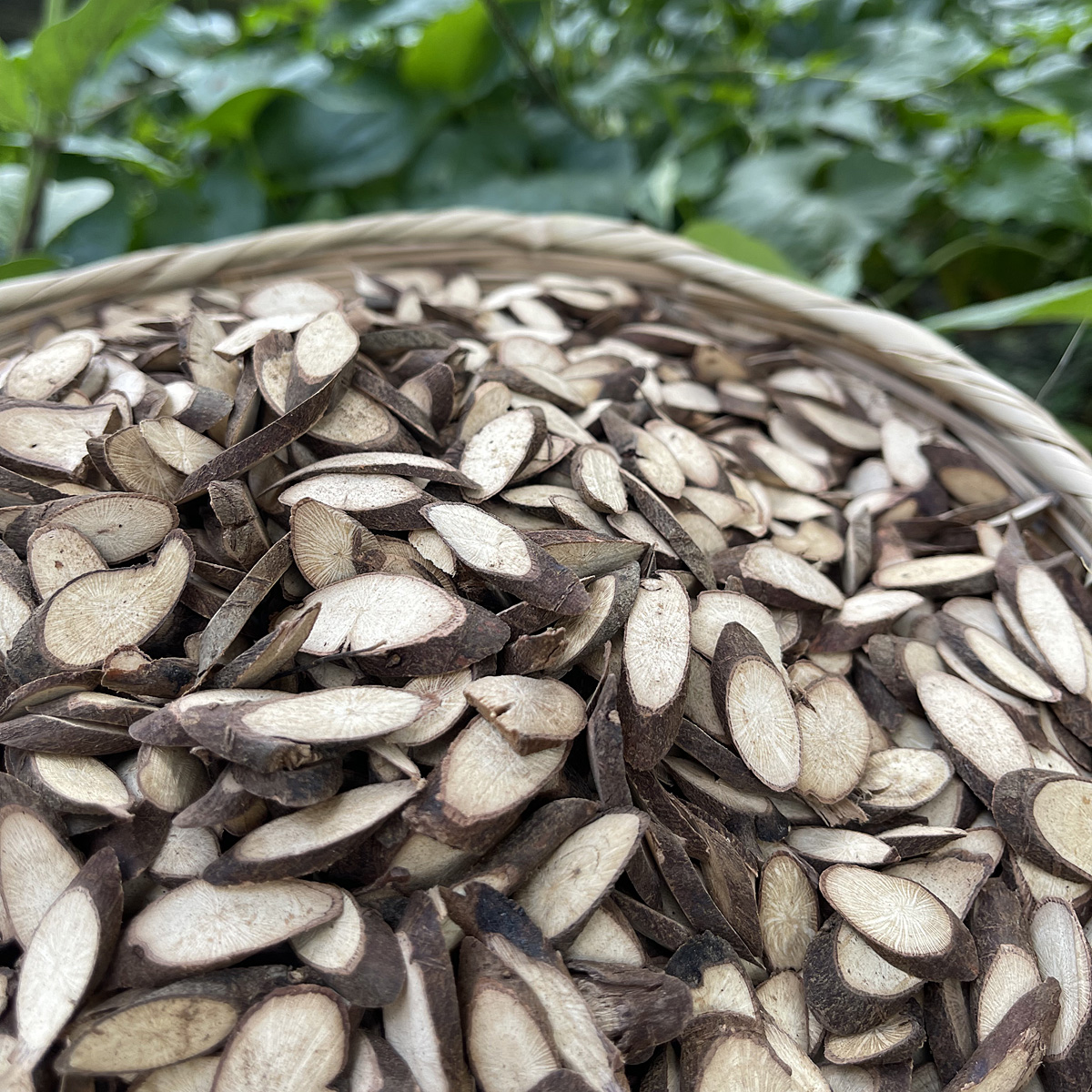 农村山货野采黑皮千斤拔干货可泡酒煮水煲汤等