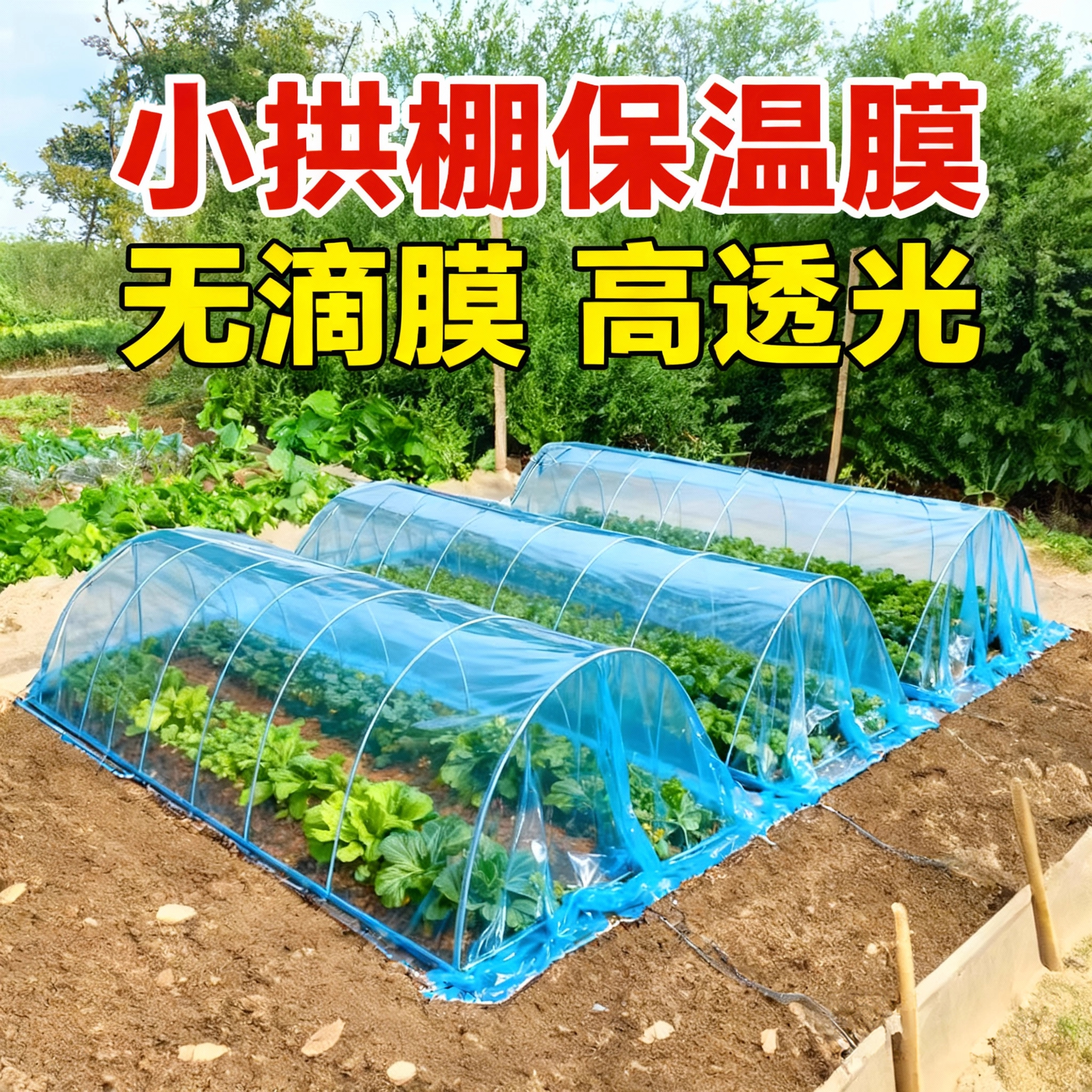 小拱棚保温膜菜棚塑料膜蓝色二膜种菜无滴膜内棚膜防冻保温种植膜