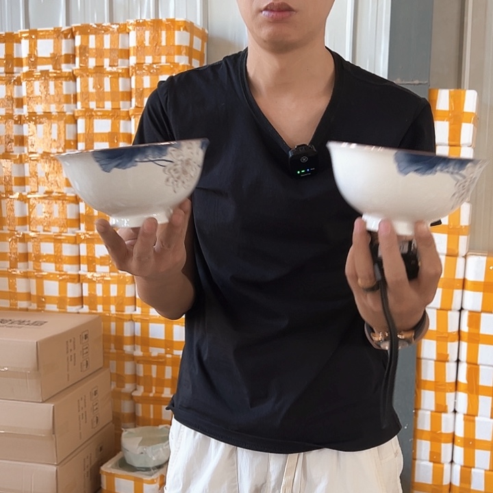 正品 荷花6英寸面碗4支陶瓷