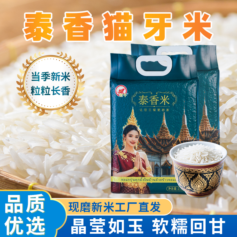 圣牛猫牙米长粒香泰香米丝苗米煲仔饭专用大米大袋农家新大米