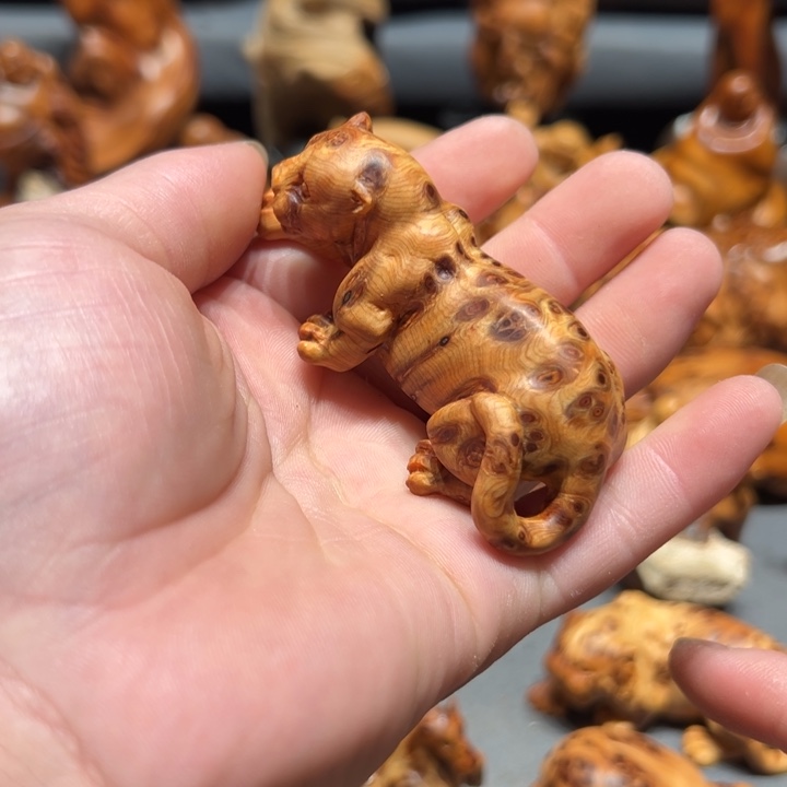 柏木（崖柏）点点关注